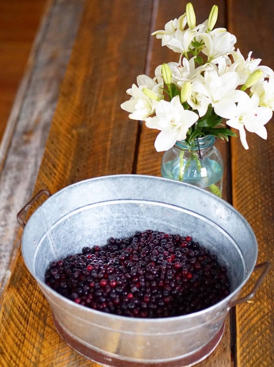 Saskatoon Berry Pie 1 Saskatoon Berries in a galvanized bowl