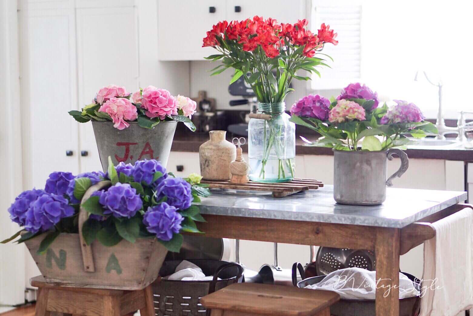 hydrangea-care-10 pruning hydrangeas & care