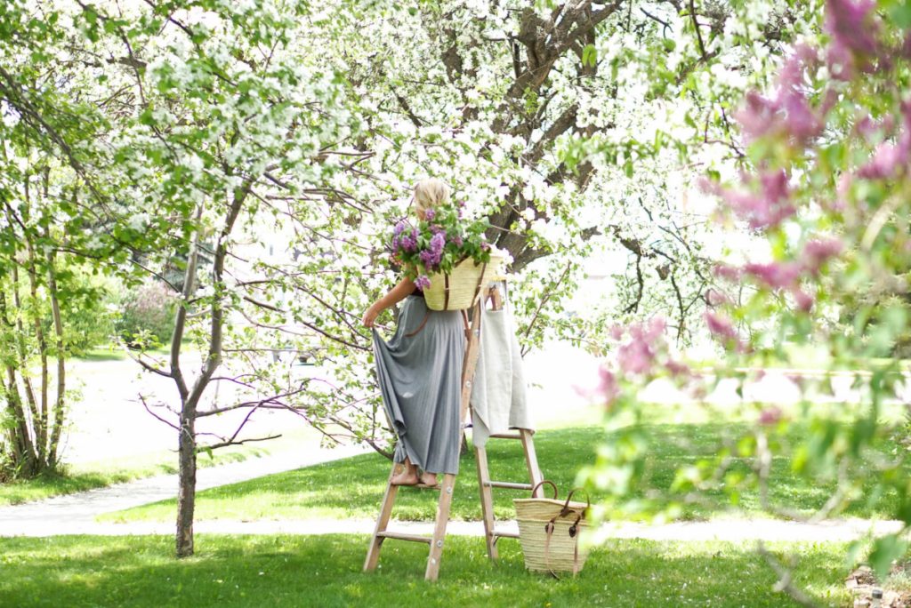 Girl on a ladder picking lilacs wearing a wicker backpack