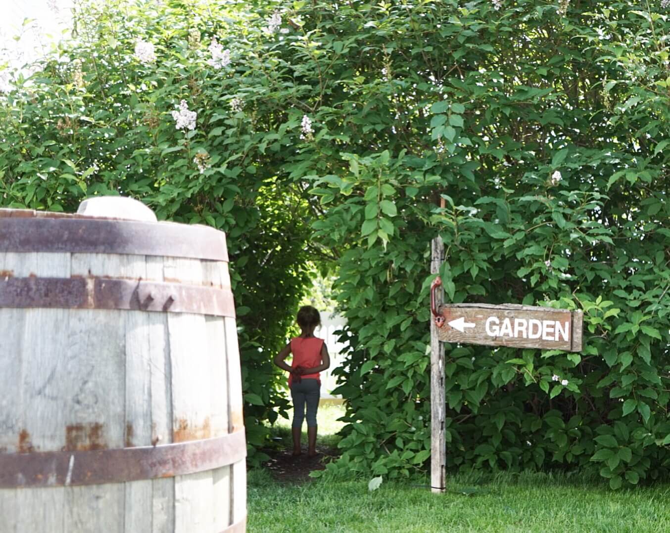 Forced to wrong size: 693x552, natural is 1354x1078! Secret Garden