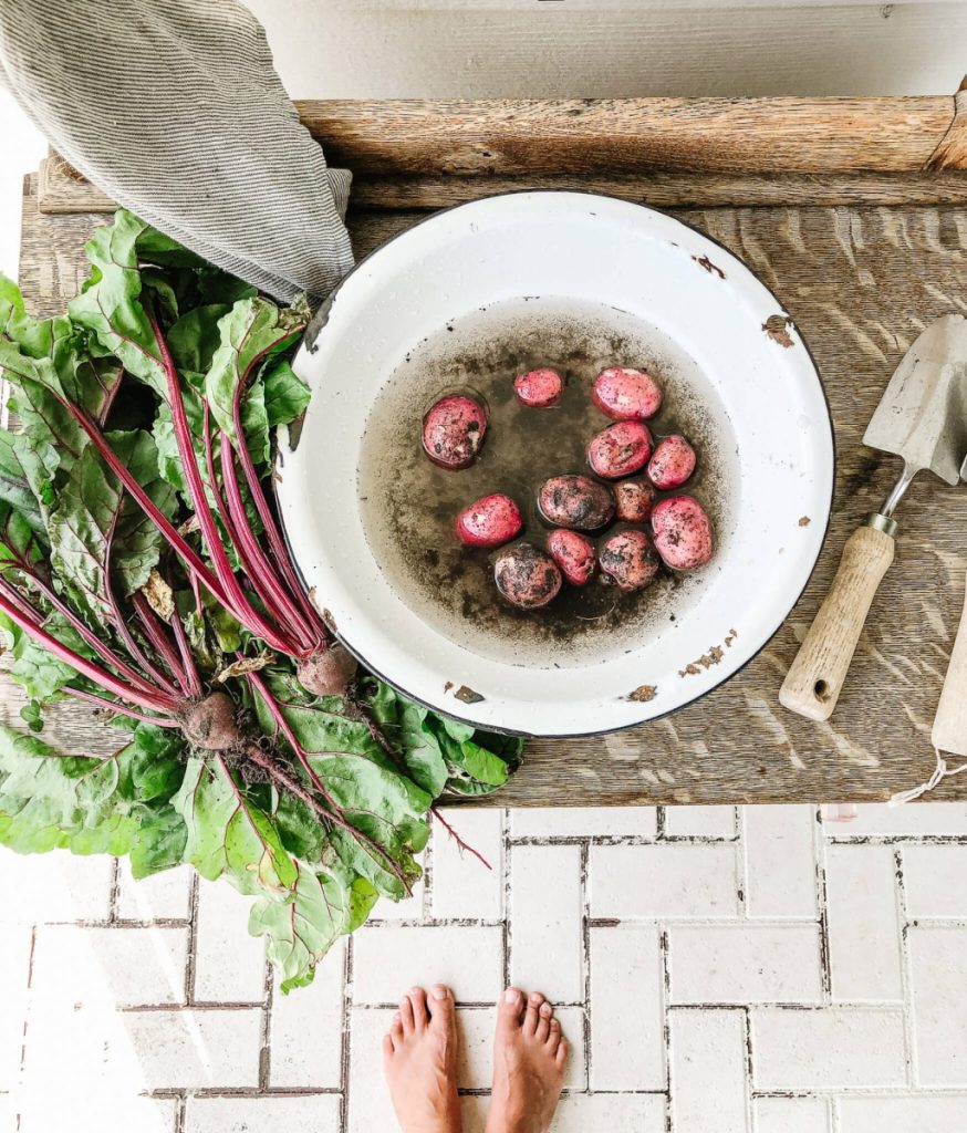 Vegetable Garden Tip