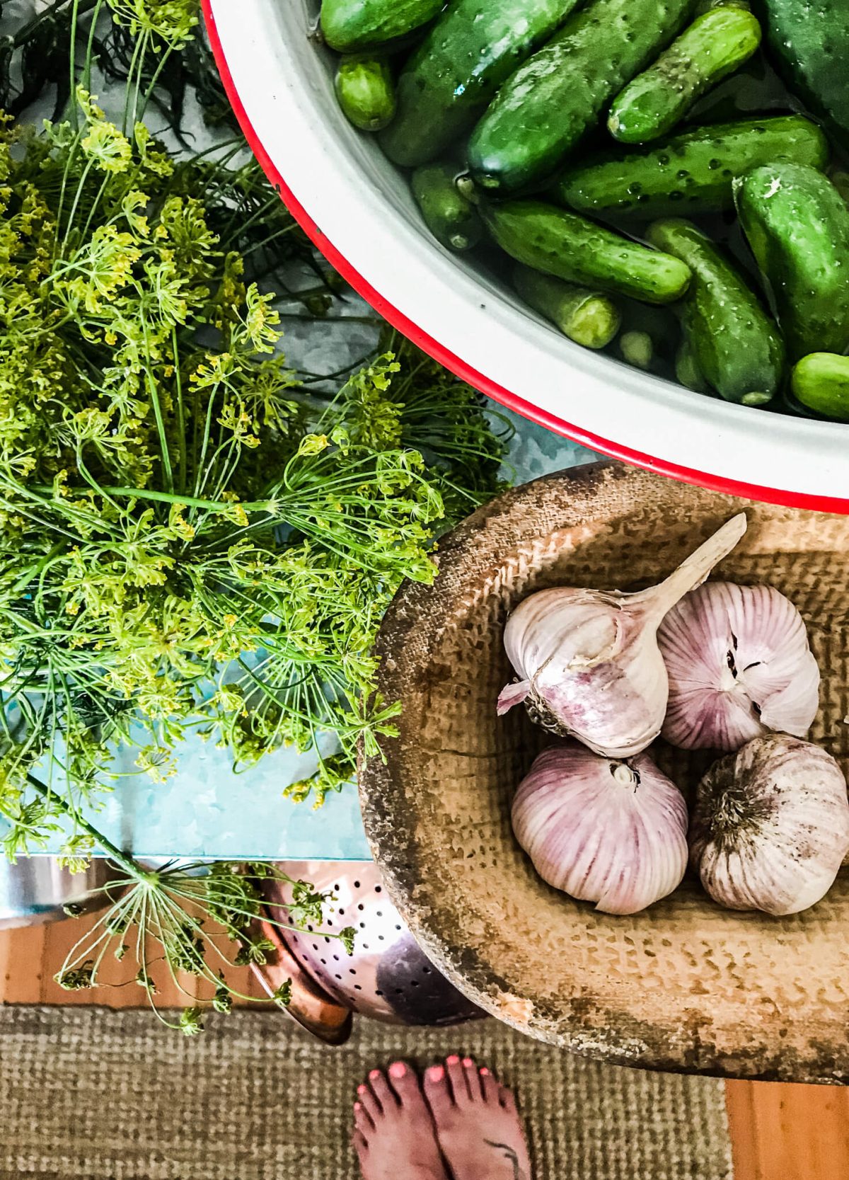Garlic, dill and cucumbers all fresh from the garden harvest, ready to dill Garlic, dill and cucumbers all fresh from the garden harvest, ready to dill