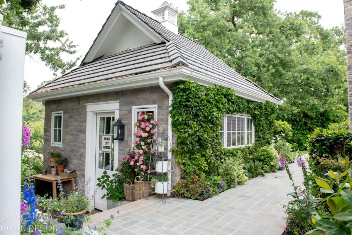 Sanctuary Home Decor Garden 1 Stunning Garden Shed Green house with Crawling Vine growing on brick