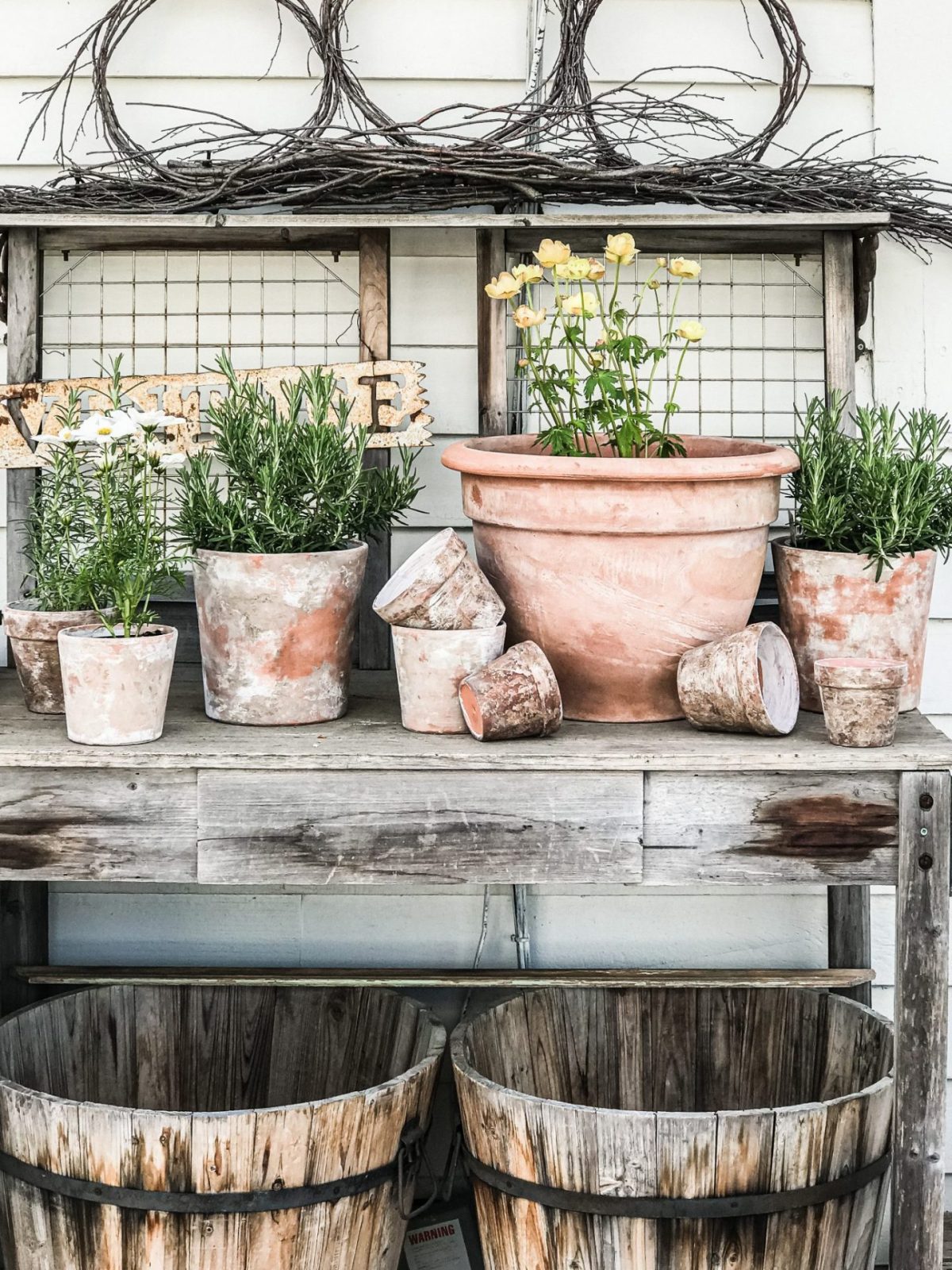 garden pots of all sizes on a potting table with plants and flowers in them a garden station full of beautiful aged terra cotta pots or various sizes and plants