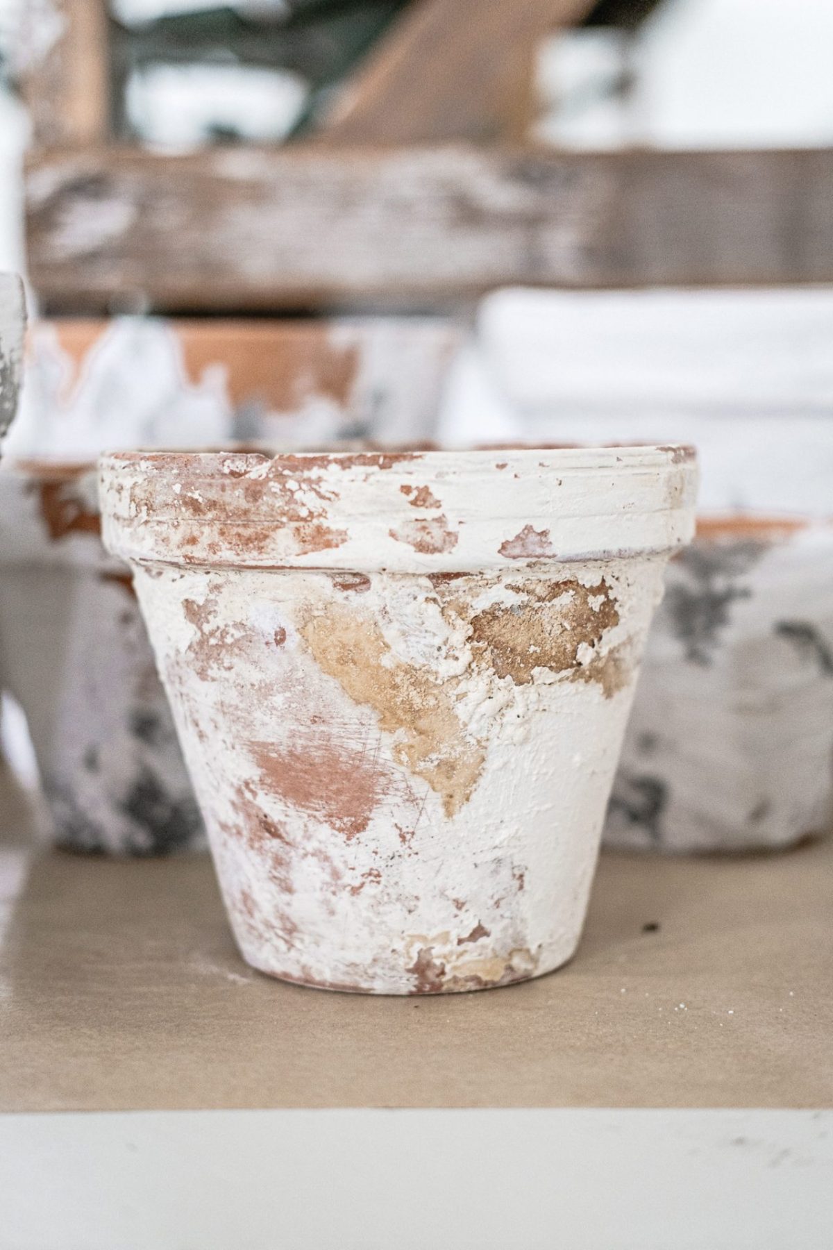 How to Age Terra Cotta Pots