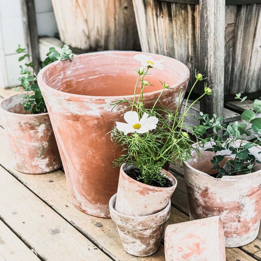 aging terra cotta pots cover page