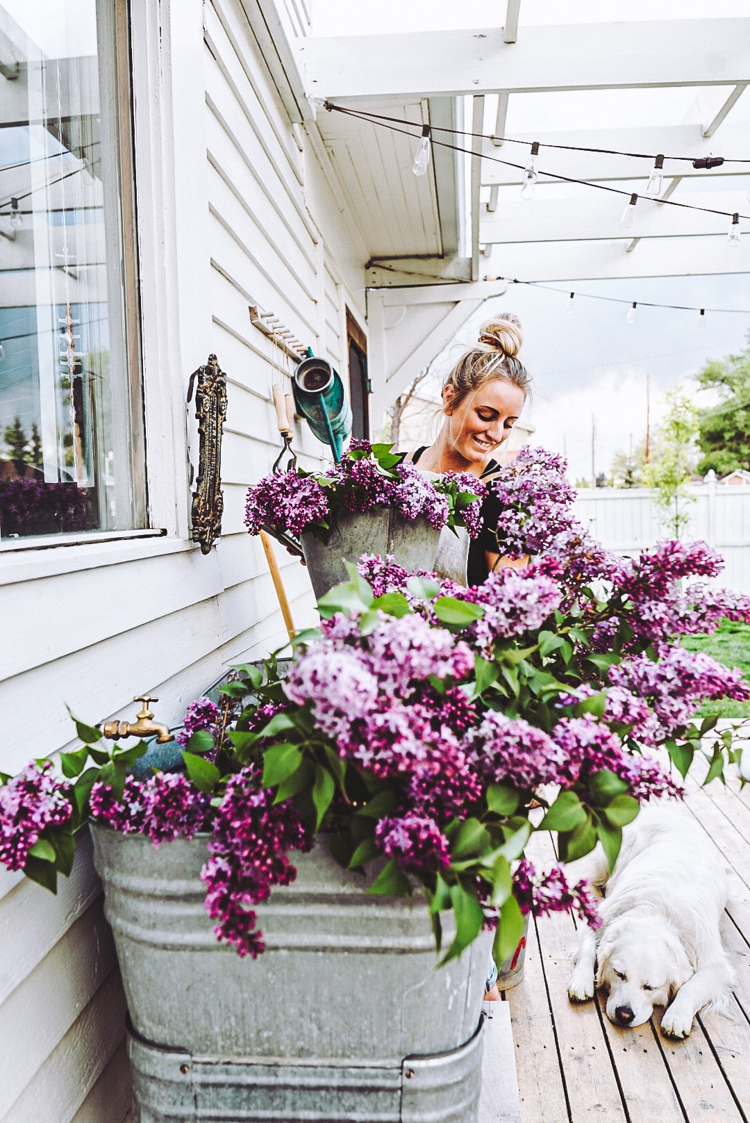 Deb lilacs galvanized sink wash tub full of lilacs with a girl and a dog