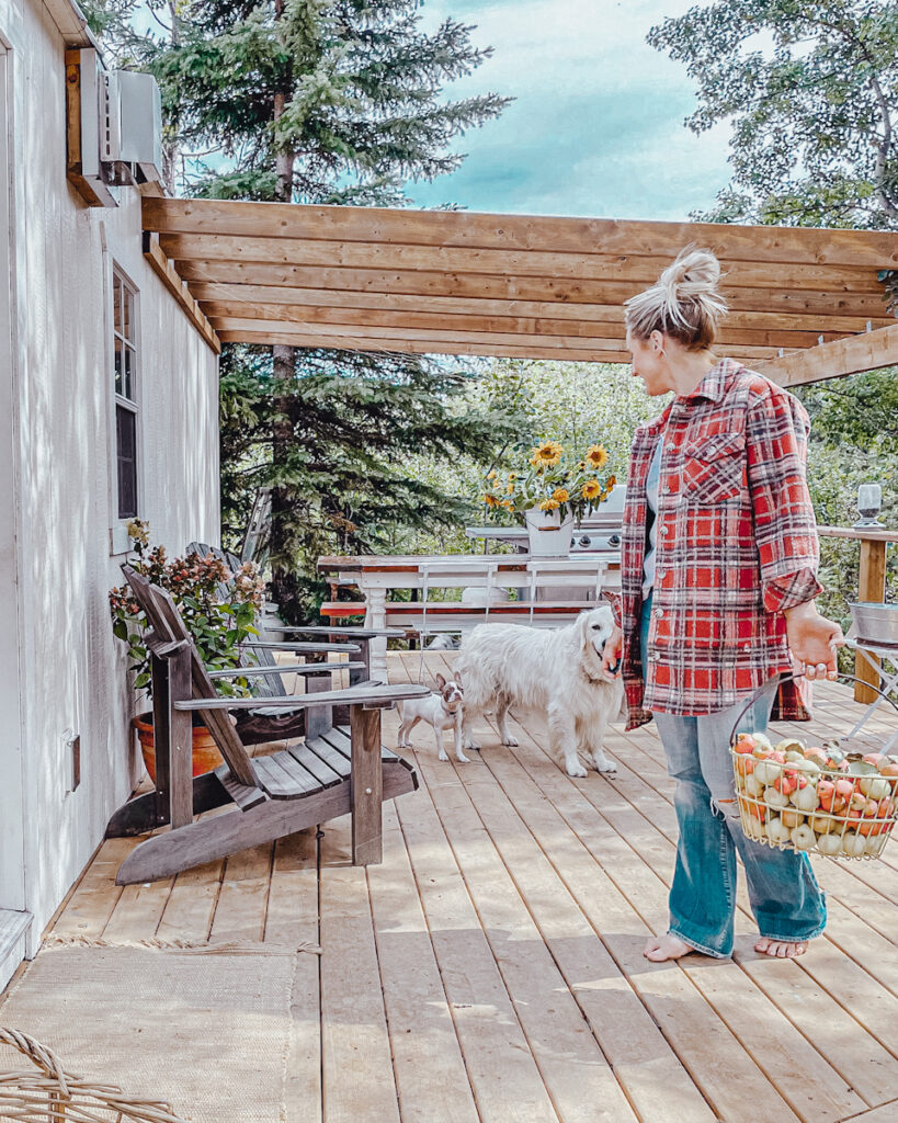 A back patio with a girl carrying a basket of apples and a white dog on it.