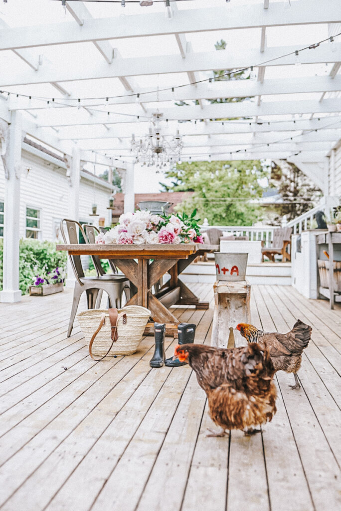 A beautiful farmhouse patio with a pergola and a farmhouse table and chickens walking on the patio