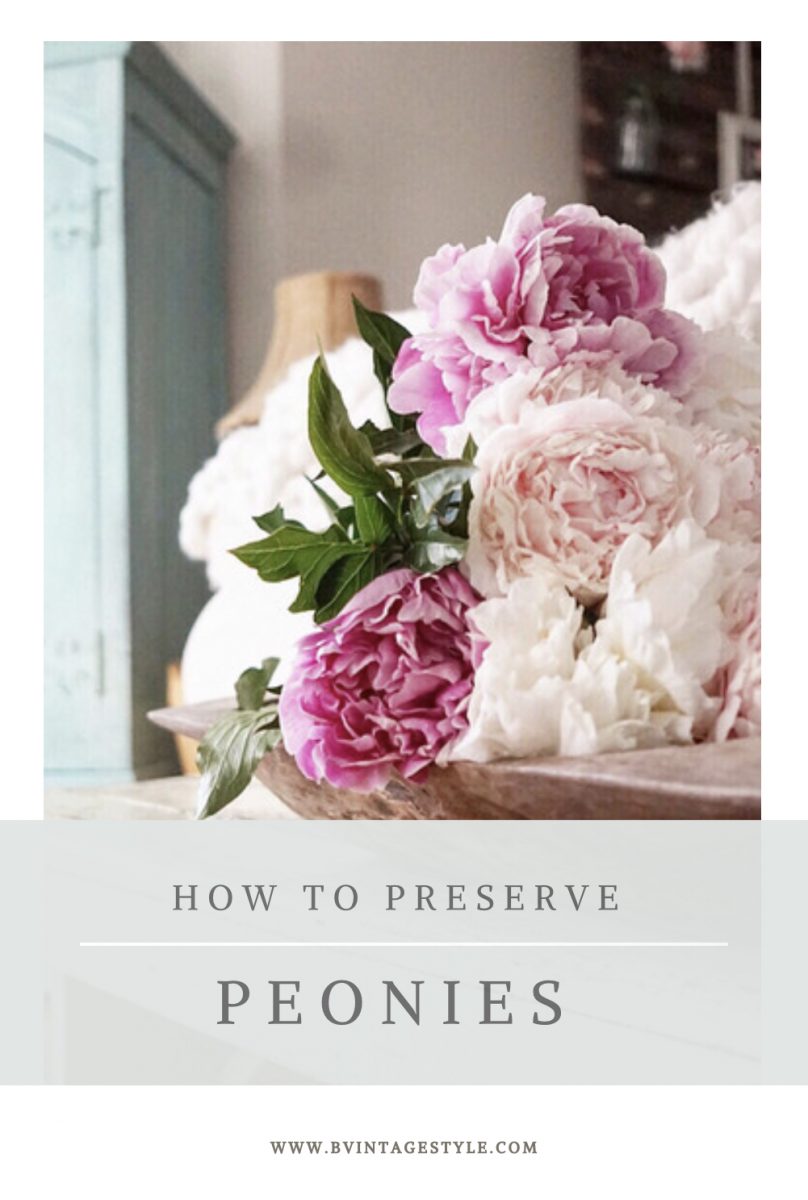 preserving peonies pinterest preserving peonies pinterest