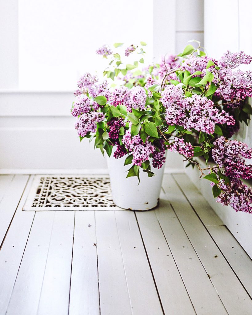 purple lilac arrangement in front of a window in a white enamel bucket