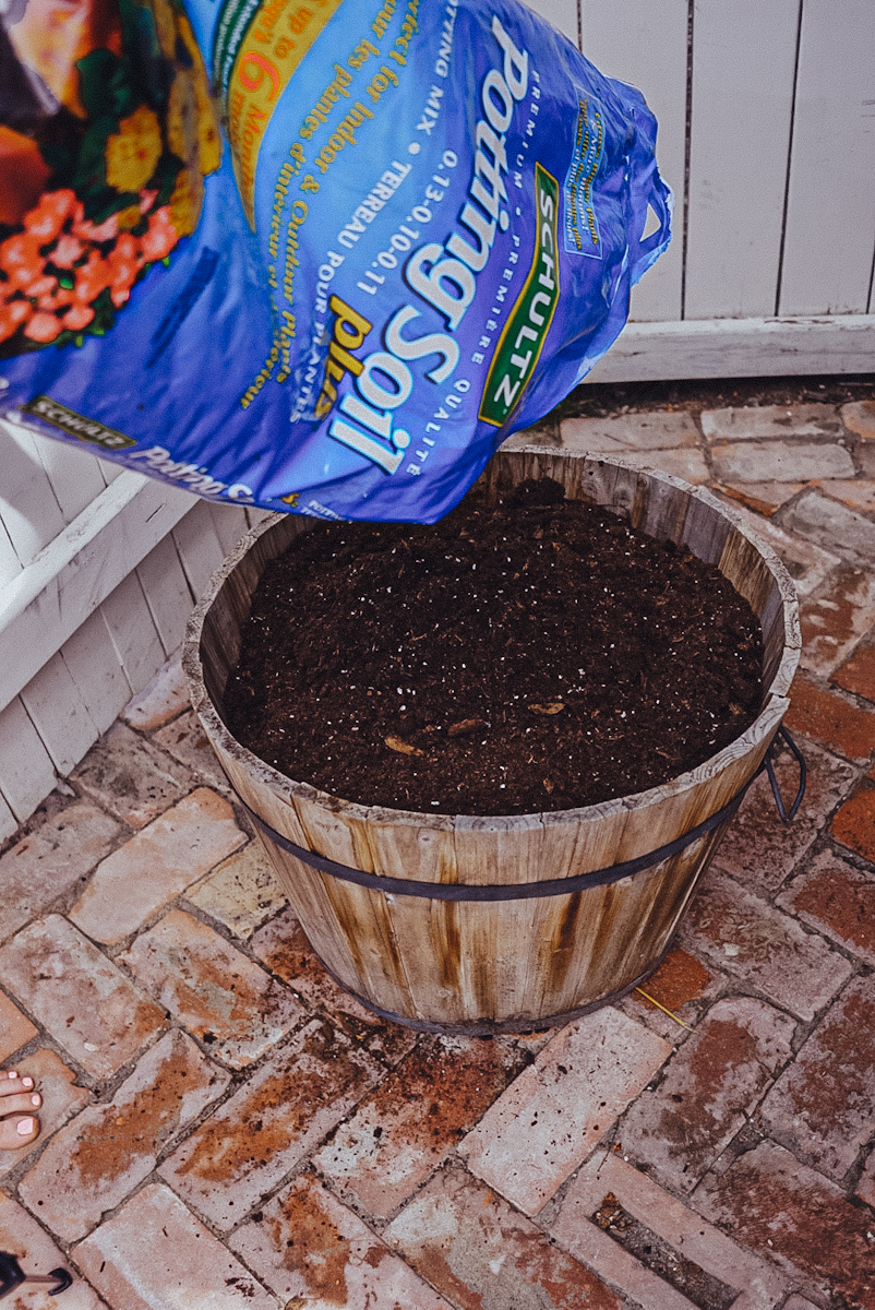 adding potting soil to a wooden flower pot