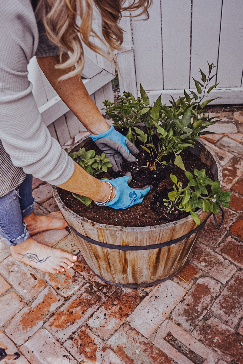 planting flowers in pots