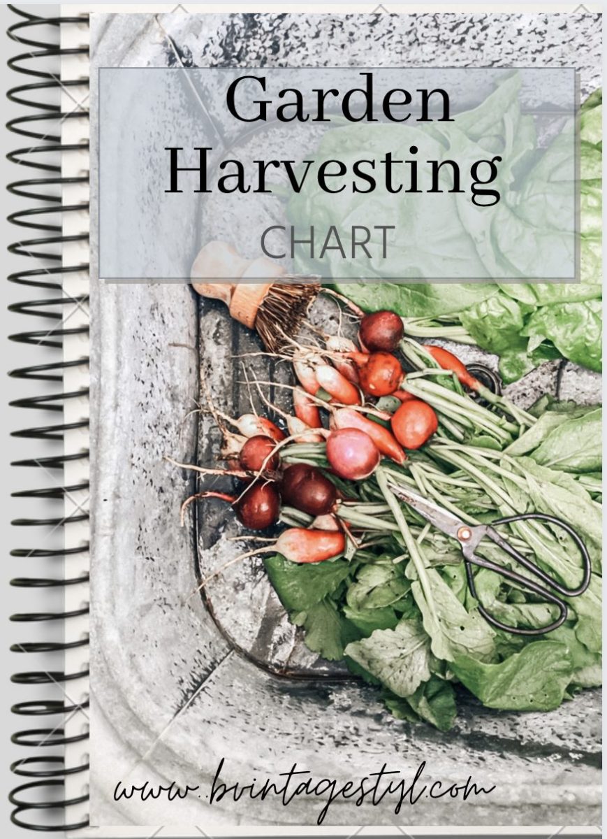 Garden Harvest Chart and Printable PDF | B Vintage Style