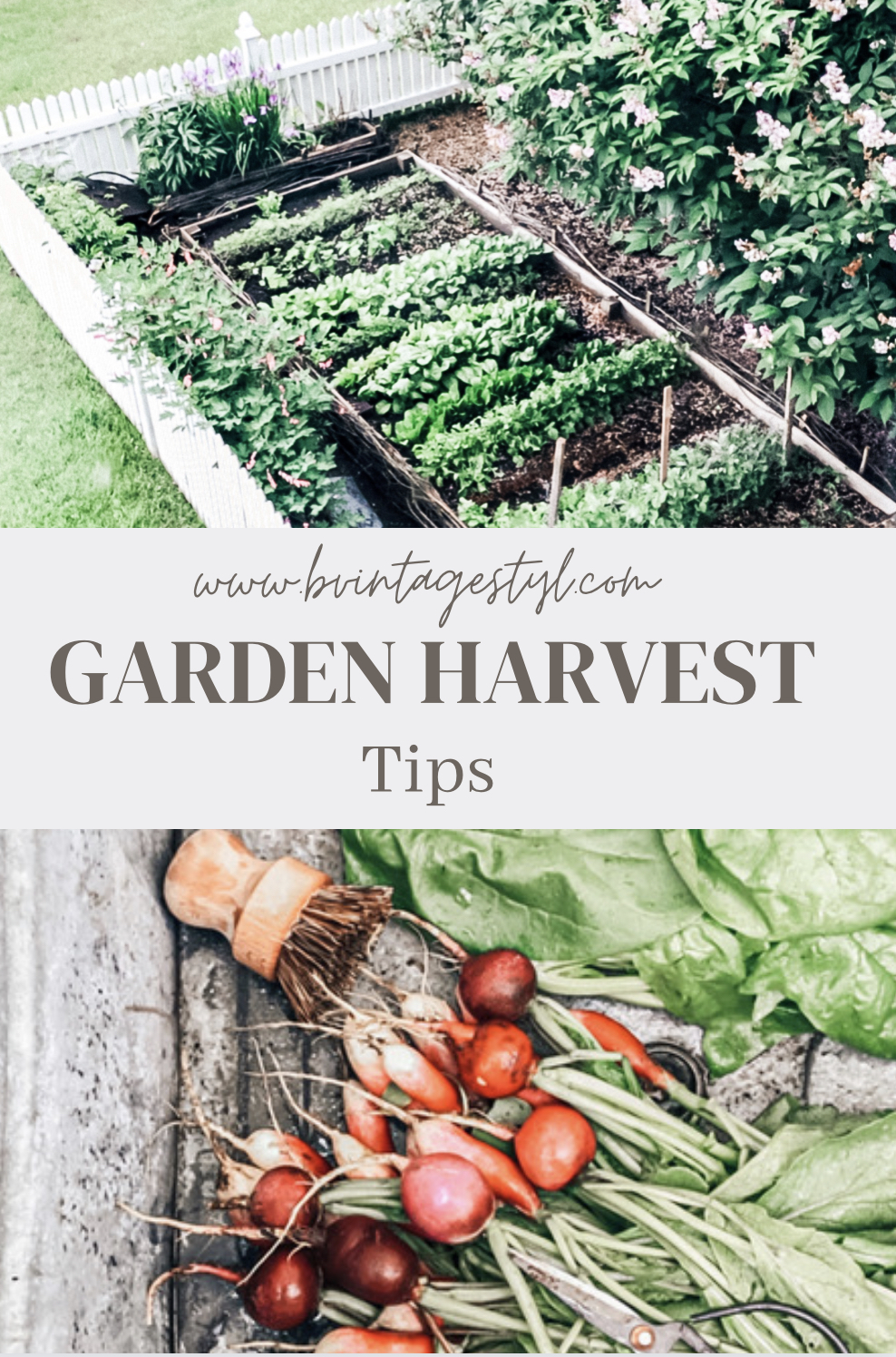 Garden Harvest Chart and Guide pInterest Garden Harvest Chart and Guide pInterest