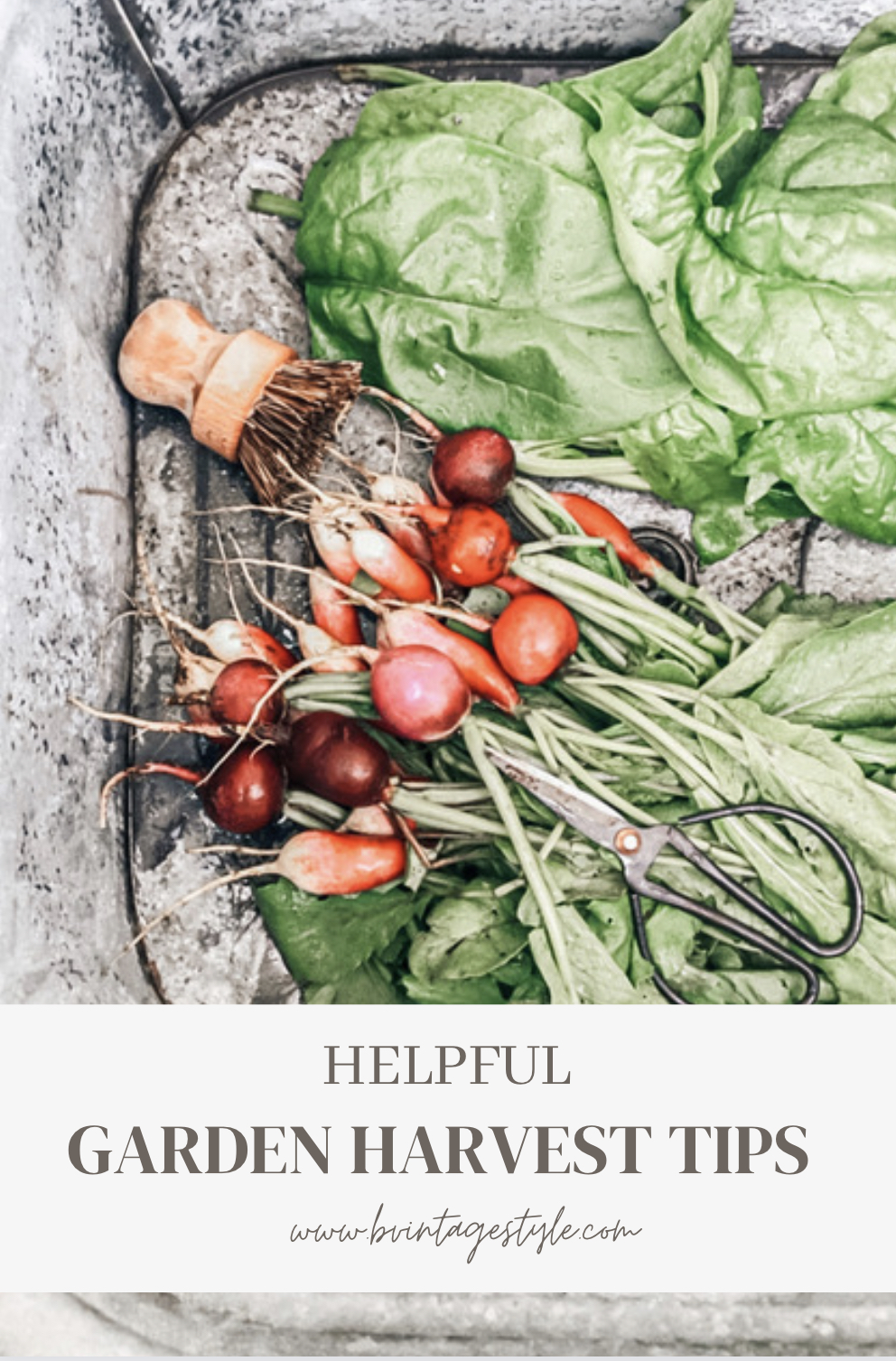 Garden Harvest Chart and Guide Garden Harvest Chart and Guide