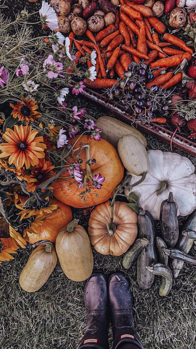 harvest from the garden with pumpkins