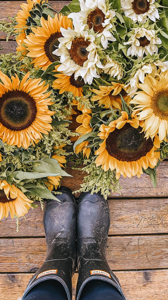 sunflowers and hunter boots