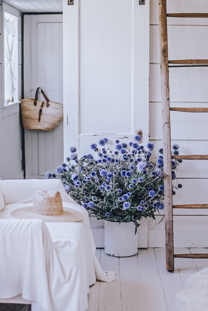 Globe thistle flowers are in a white bucket next to a ladder.