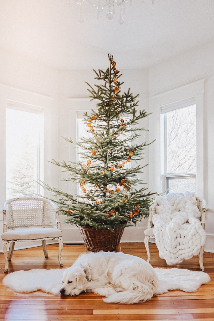 How To Decorate A Real Christmas Tree - The Best Tips And Tricks! - Simply  Lovely Living