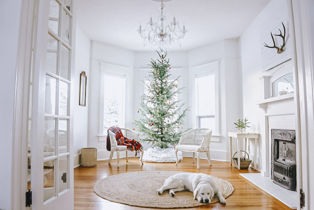 How to Decorate a Kitchen Christmas Tree All Natural