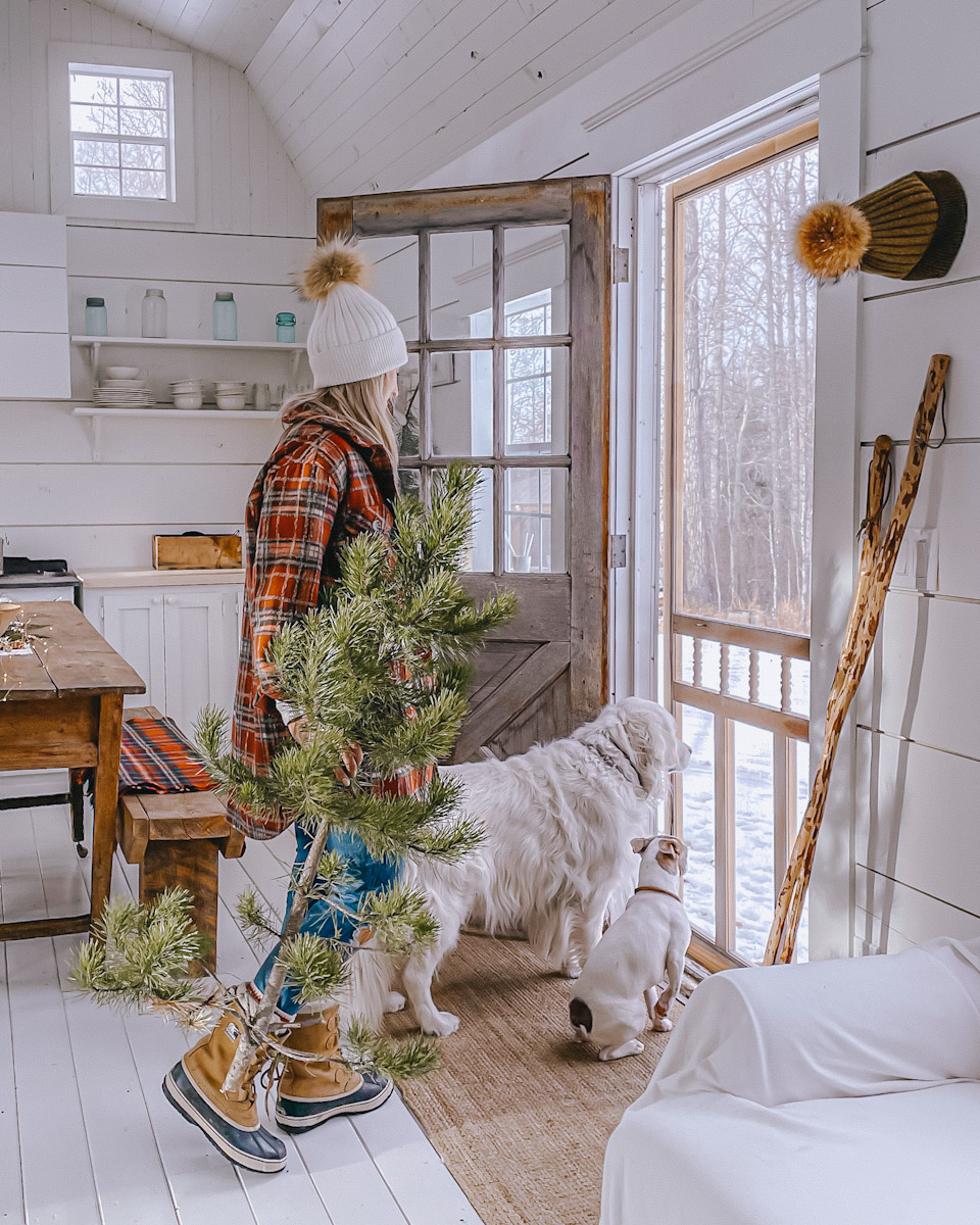 Natural/Outdoorsy/Woodsy Christmas Decor - Organize and Decorate Everything