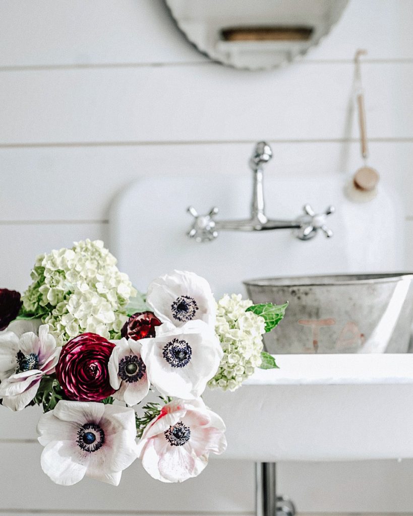 fresh flowers used for decorating for winter