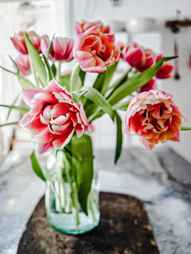How To Arrange Tulips In A Vase