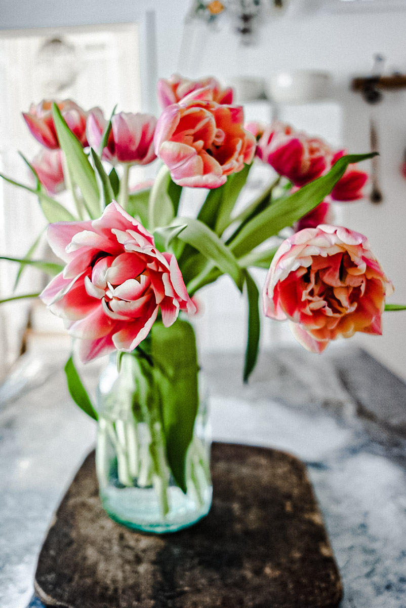 10 Stalks Fresh-Cut Tulip with a LV design paper wrapper (Fresh Flower  Bouquet💐) | Rose Flower | Flower Bouquet | Flower | Flowers | Rose | Roses  