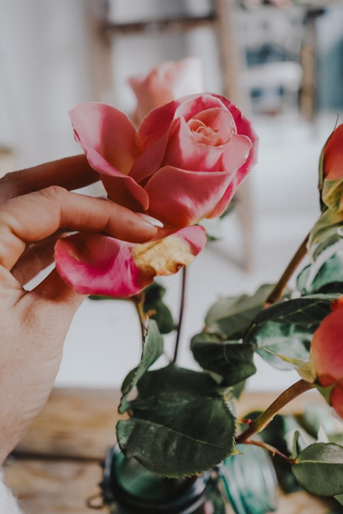 cleaning up bad rose petals