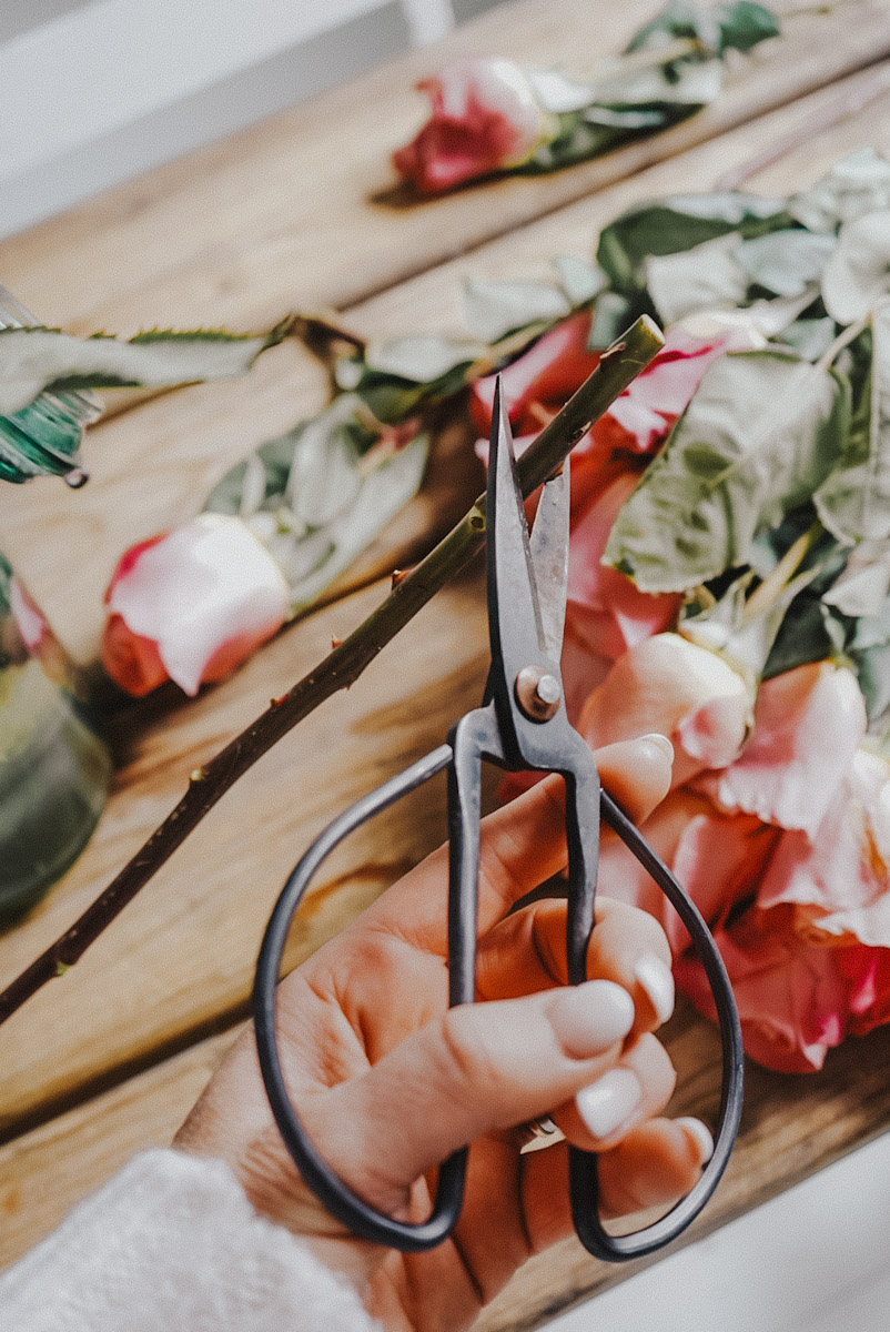 Keep Roses Fresh Longer How to Make Roses Last Longer: 7 Proven Ways to Keep Roses Fresh