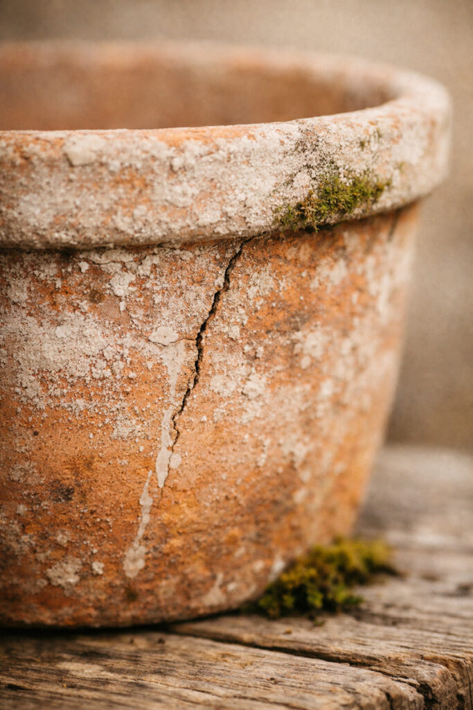 A naturally aged terracotta pot with moss growing on it and cracks. 