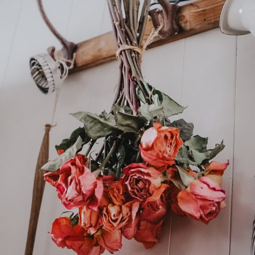 How to Dry Roses and Rose Petals B Vintage Style