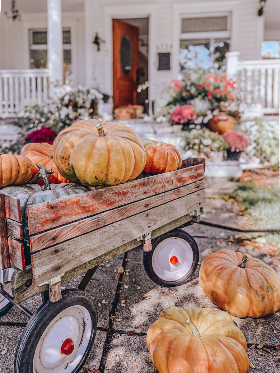 How To Preserve  Pumpkins: Simple Tips for Long Lasting Pumpkins