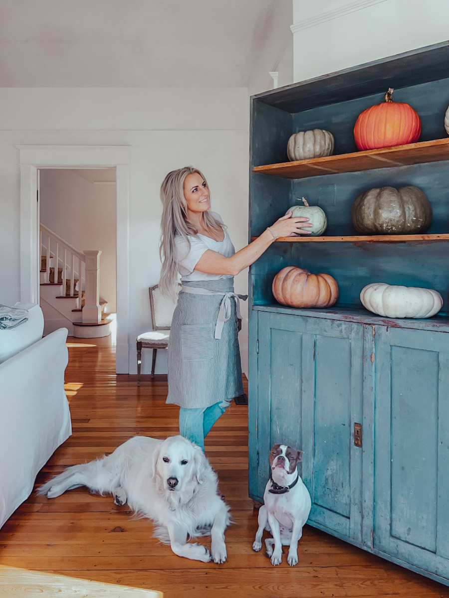 How To Preserve Pumpkins: Simple Tips for Long Lasting Pumpkins | B ...