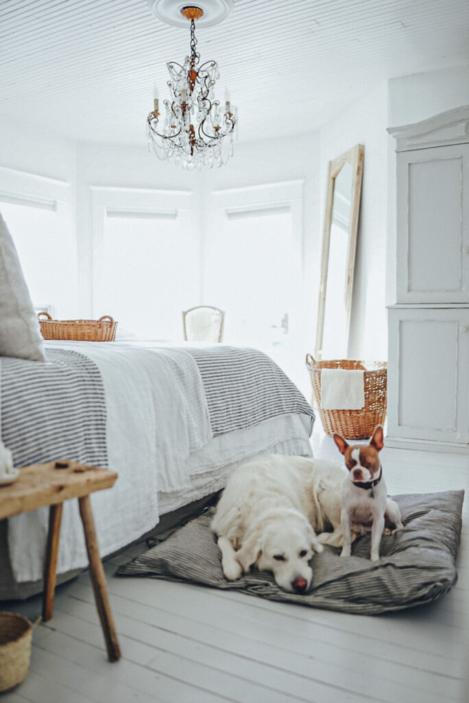 A beautiful bedroom with two dogs in it and linen bedding. 