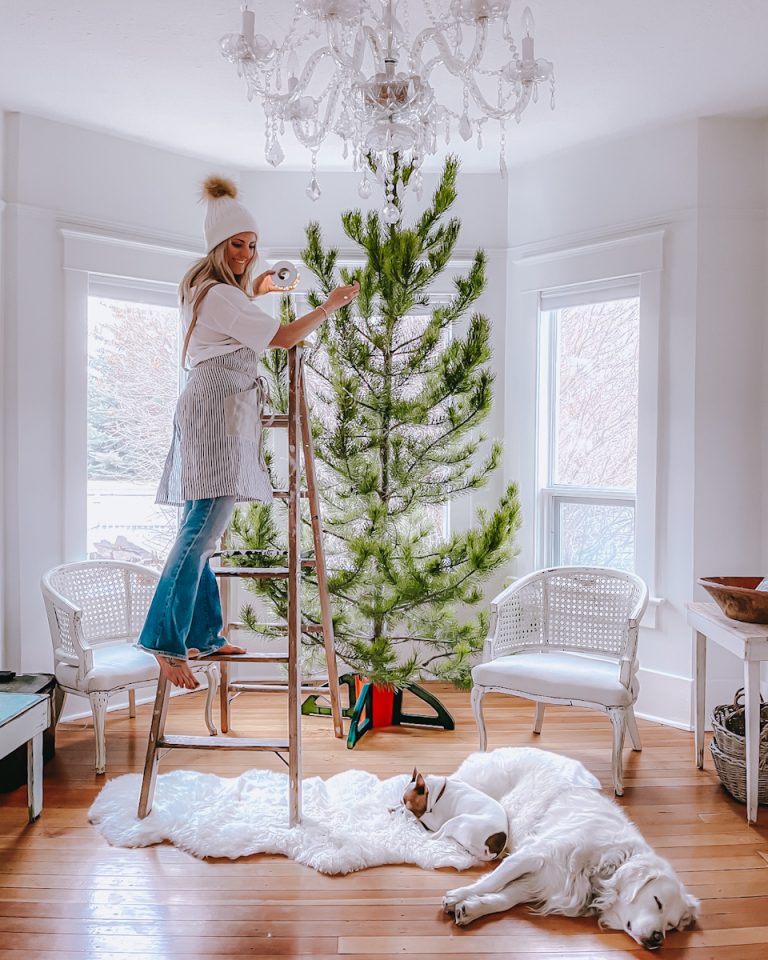 How To Keep A Christmas Tree Alive All Season Long