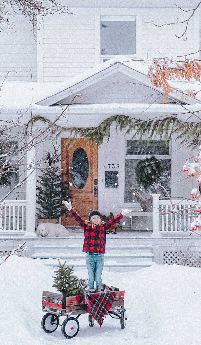 A pretty girl throwing snow into the air in front of a beautiful home with a wagon full of evergreen trees.
