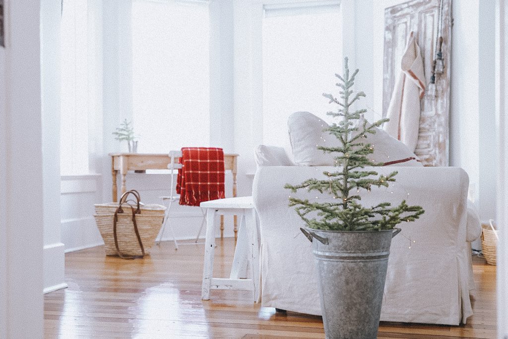 Natural Christmas tree in galvanized bucket in front of a sofa.