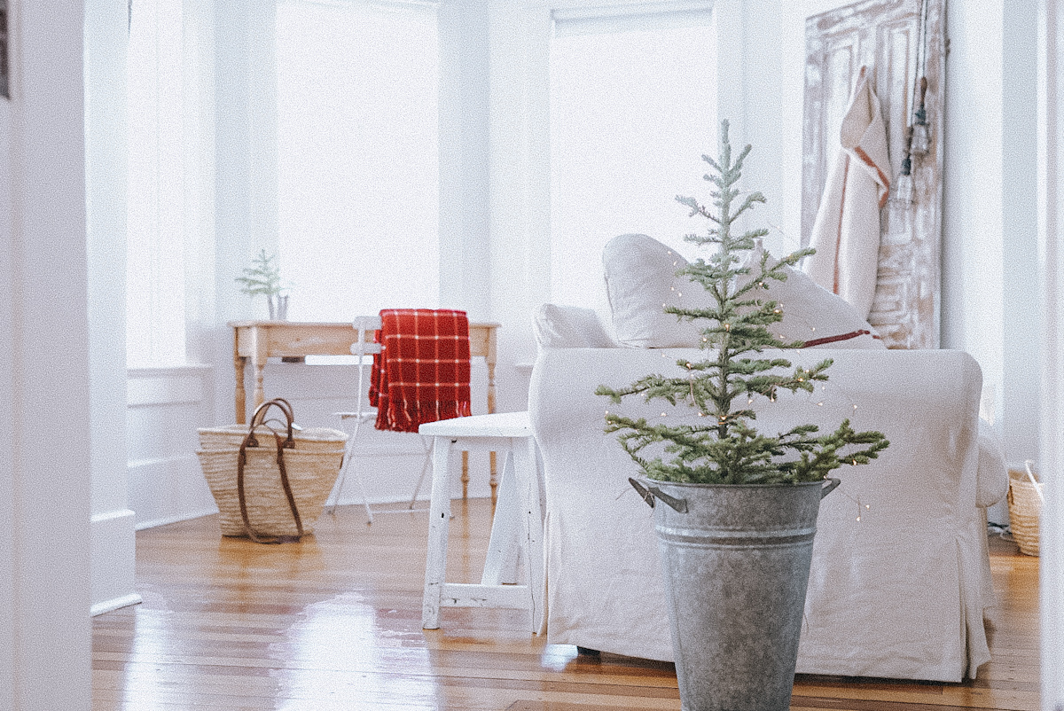 Natural Christmas tree in galvanized bucket in front of a sofa.