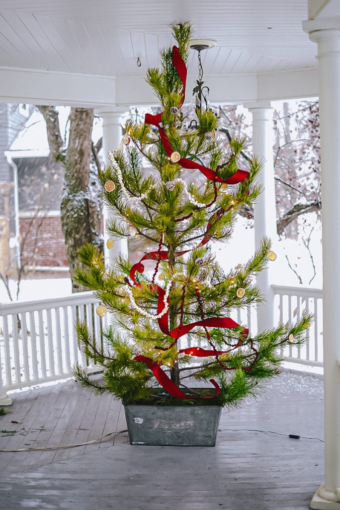 Beautiful pine tree decorated with old fashioned natural decorations, velvet ribbon, and twinkle lights.