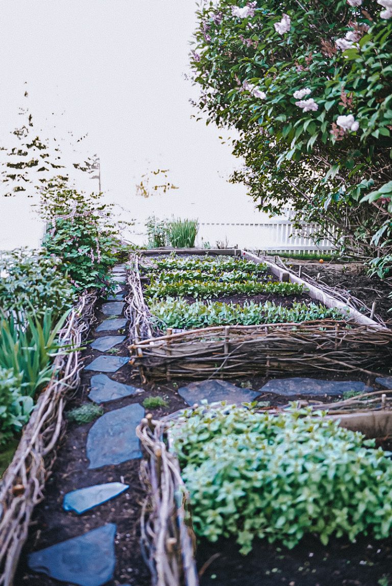 Wattle fence garden that has a stone pathway through it.