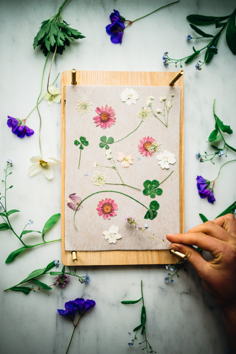 How to Preserve Flowers: 4 Simple Methods