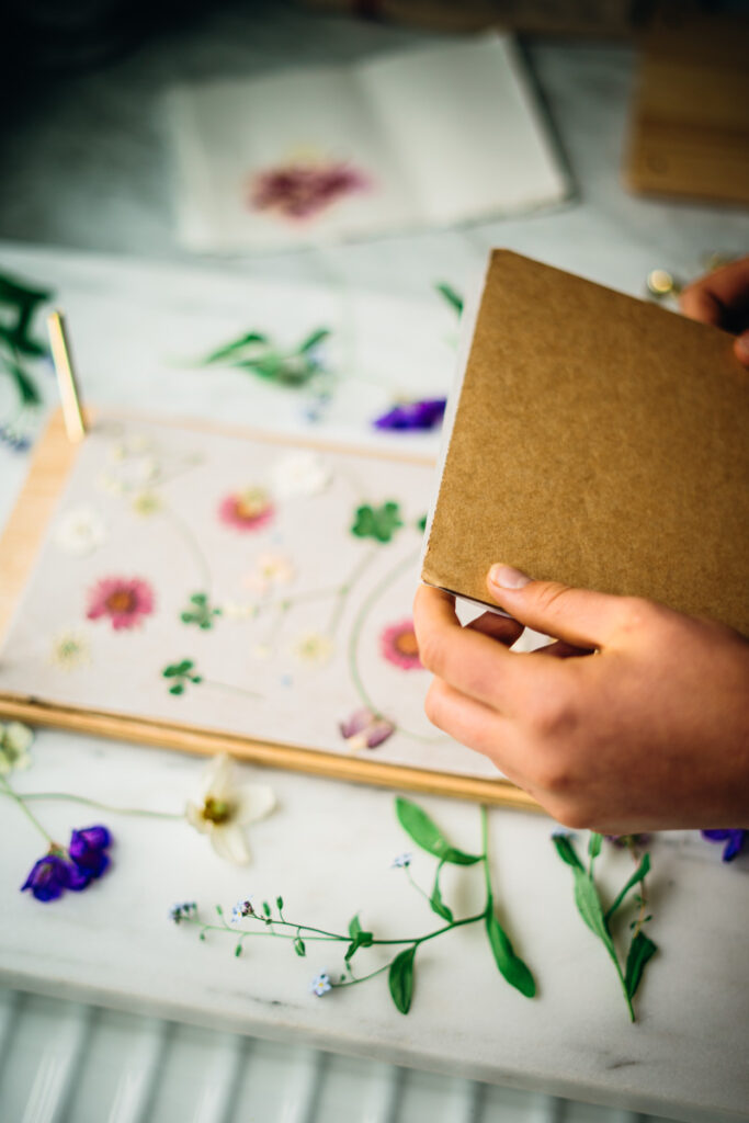 Adding the paper and cardboard to the top of flowers in a flower press.