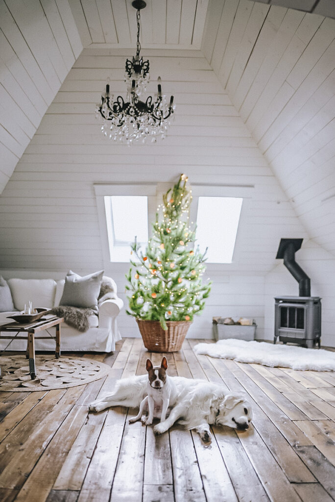 A beautiful white attic space decorated for Christmas with a natural pine tree that is covered in dried orange slices and two dogs lying in front of it.