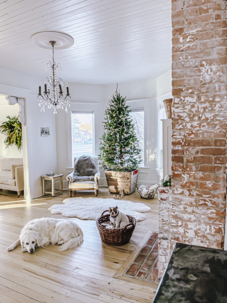 A cozy sitting area with a beautiful Christmas tree and sheepskin rug in front.