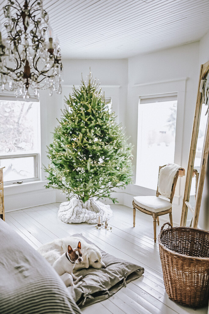 A gorgeous natural Christmas tree in a white bedroom with dogs lying on a dog bed in front of it.
