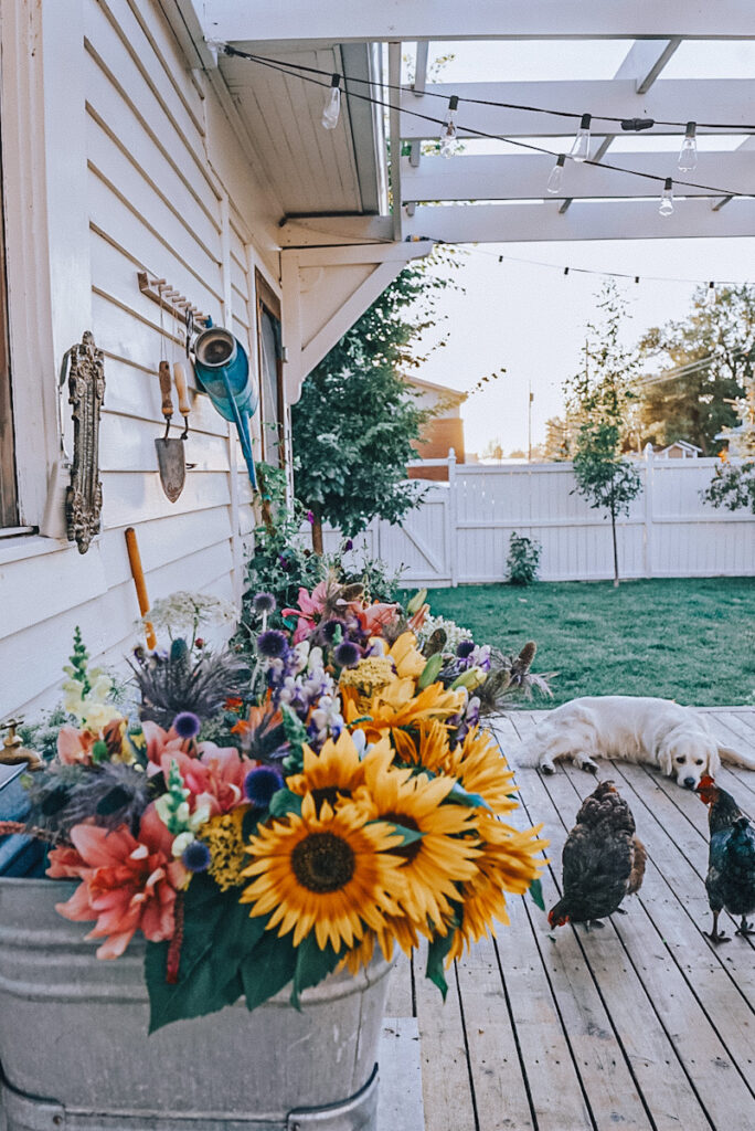 A lovely back porch with fresh-cut flowers from the garden, including sunflowers and globe thistle, and chickens and a dog on the deck.