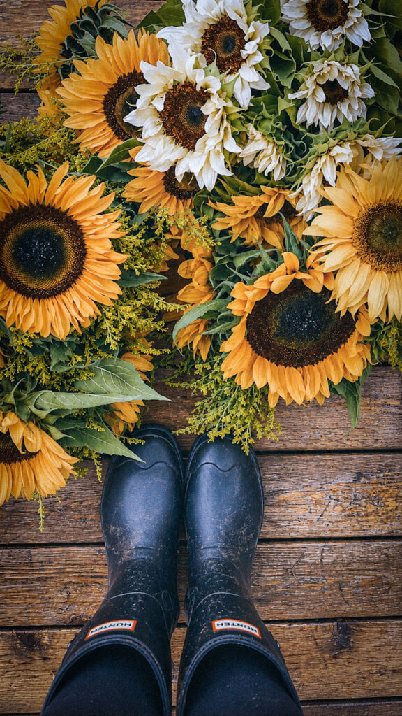A huge bunch of white and yellow sunflowers in a pile on a deck, and a girl's hunter boots after she forged from the garden.