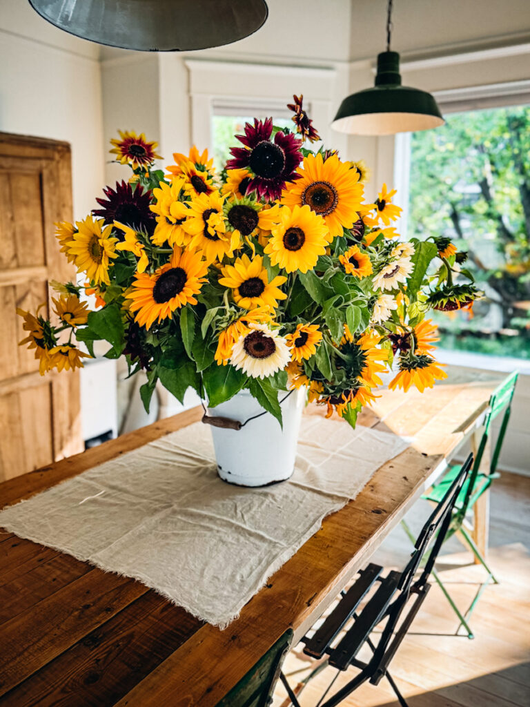 A bouquet of multiple colored sunflowers on a dining room table with green antique French cafe chairs.
